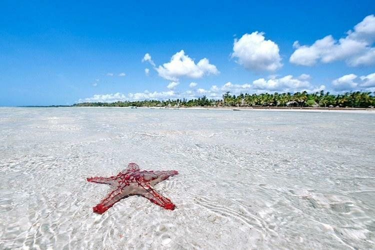 Rafiki Village Resort Watamu